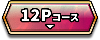 12Pコース